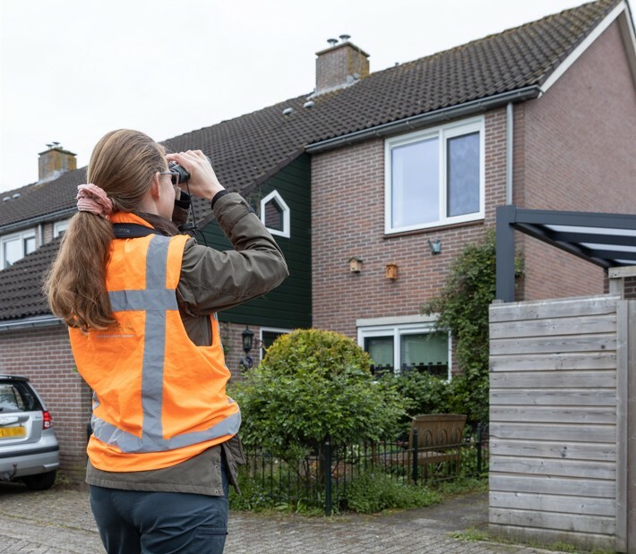 dierenonderzoek