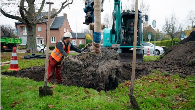 bomenverplanten2_web