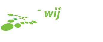 Logo, Website